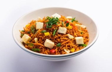 Schezwan paneer kızarmış pilav Szechuan sos ve peynir küpleri ile. bir kase ya da plaka veya tava servis. seçici odak