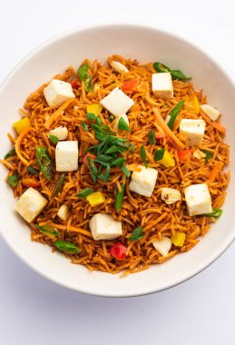 Schezwan paneer kızarmış pilav Szechuan sos ve peynir küpleri ile. bir kase ya da plaka veya tava servis. seçici odak