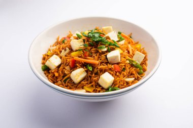 Schezwan paneer kızarmış pilav Szechuan sos ve peynir küpleri ile. bir kase ya da plaka veya tava servis. seçici odak