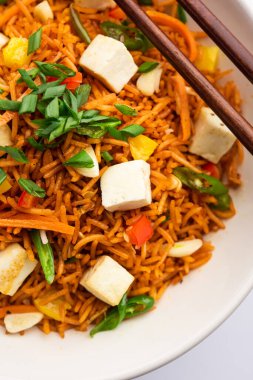 Schezwan paneer kızarmış pilav Szechuan sos ve peynir küpleri ile. bir kase ya da plaka veya tava servis. seçici odak