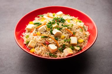 Schezwan paneer kızarmış pilav Szechuan sos ve peynir küpleri ile. bir kase ya da plaka veya tava servis. seçici odak