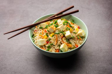 Schezwan paneer kızarmış pilav Szechuan sos ve peynir küpleri ile. bir kase ya da plaka veya tava servis. seçici odak