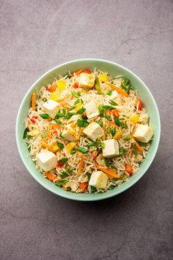 Schezwan paneer kızarmış pilav Szechuan sos ve peynir küpleri ile. bir kase ya da plaka veya tava servis. seçici odak