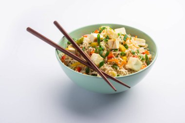 Schezwan paneer kızarmış pilav Szechuan sos ve peynir küpleri ile. bir kase ya da plaka veya tava servis. seçici odak