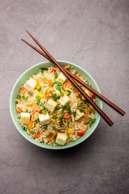 Schezwan paneer kızarmış pilav Szechuan sos ve peynir küpleri ile. bir kase ya da plaka veya tava servis. seçici odak