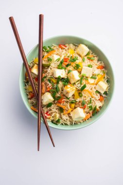 Schezwan paneer kızarmış pilav Szechuan sos ve peynir küpleri ile. bir kase ya da plaka veya tava servis. seçici odak