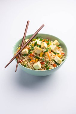 Schezwan paneer kızarmış pilav Szechuan sos ve peynir küpleri ile. bir kase ya da plaka veya tava servis. seçici odak