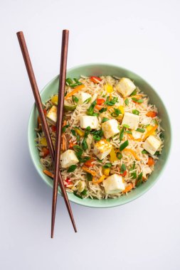 Schezwan paneer kızarmış pilav Szechuan sos ve peynir küpleri ile. bir kase ya da plaka veya tava servis. seçici odak