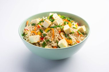 Schezwan paneer kızarmış pilav Szechuan sos ve peynir küpleri ile. bir kase ya da plaka veya tava servis. seçici odak