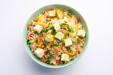 Schezwan paneer kızarmış pilav Szechuan sos ve peynir küpleri ile. bir kase ya da plaka veya tava servis. seçici odak