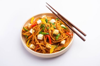 Schezwan veya Szechwan hakka erişteli paneer veya süzme peynir. Bir kasede servis edildi. seçici odak