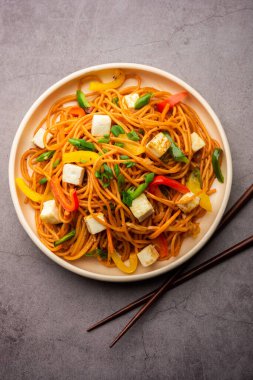 Schezwan veya Szechwan hakka erişteli paneer veya süzme peynir. Bir kasede servis edildi. seçici odak