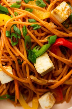 Schezwan veya Szechwan hakka erişteli paneer veya süzme peynir. Bir kasede servis edildi. seçici odak