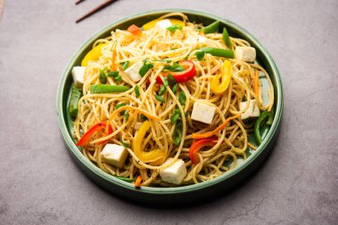 Schezwan veya Szechwan hakka erişteli paneer veya süzme peynir. Bir kasede servis edildi. seçici odak