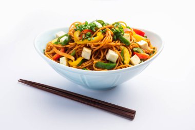 Schezwan veya Szechwan hakka erişteli paneer veya süzme peynir. Bir kasede servis edildi. seçici odak