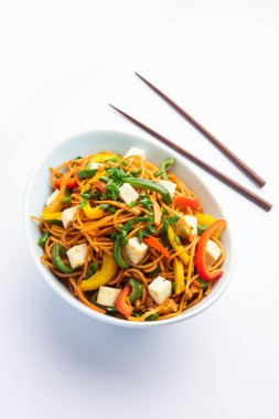 Schezwan veya Szechwan hakka erişteli paneer veya süzme peynir. Bir kasede servis edildi. seçici odak