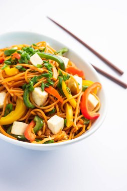 Schezwan veya Szechwan hakka erişteli paneer veya süzme peynir. Bir kasede servis edildi. seçici odak