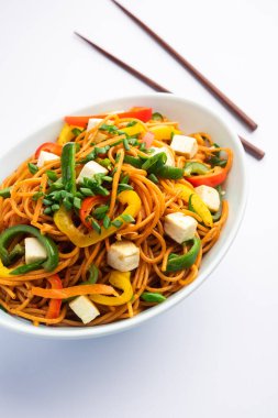 Schezwan veya Szechwan hakka erişteli paneer veya süzme peynir. Bir kasede servis edildi. seçici odak