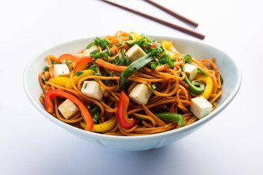 Schezwan veya Szechwan hakka erişteli paneer veya süzme peynir. Bir kasede servis edildi. seçici odak