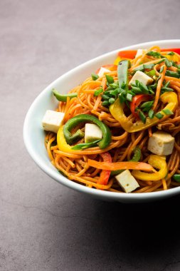 Schezwan veya Szechwan hakka erişteli paneer veya süzme peynir. Bir kasede servis edildi. seçici odak