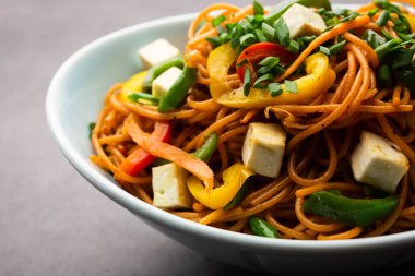 Schezwan veya Szechwan hakka erişteli paneer veya süzme peynir. Bir kasede servis edildi. seçici odak