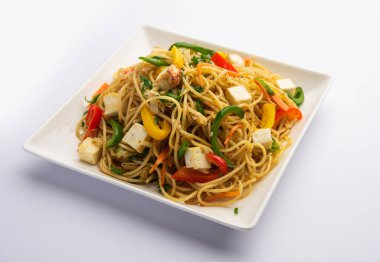 Schezwan veya Szechwan hakka erişteli paneer veya süzme peynir. Bir kasede servis edildi. seçici odak