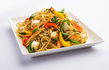 Schezwan veya Szechwan hakka erişteli paneer veya süzme peynir. Bir kasede servis edildi. seçici odak