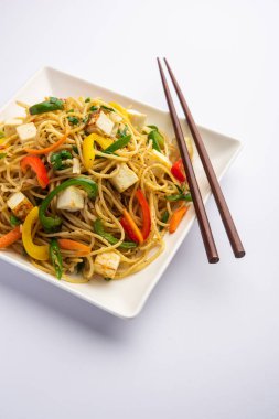 Schezwan veya Szechwan hakka erişteli paneer veya süzme peynir. Bir kasede servis edildi. seçici odak