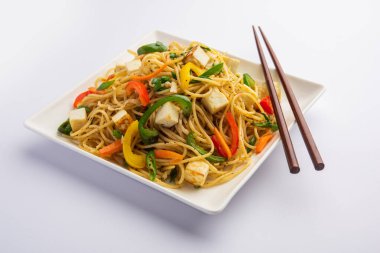 Schezwan veya Szechwan hakka erişteli paneer veya süzme peynir. Bir kasede servis edildi. seçici odak