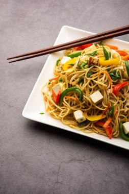 Schezwan veya Szechwan hakka erişteli paneer veya süzme peynir. Bir kasede servis edildi. seçici odak