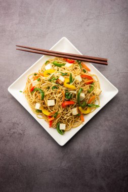 Schezwan veya Szechwan hakka erişteli paneer veya süzme peynir. Bir kasede servis edildi. seçici odak