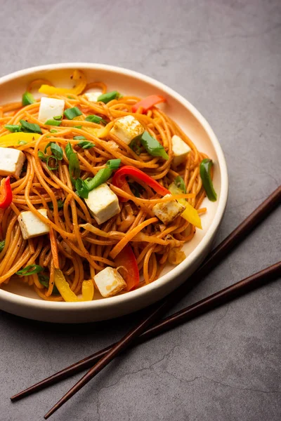 Schezwan veya Szechwan hakka erişteli paneer veya süzme peynir. Bir kasede servis edildi. seçici odak