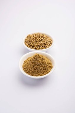 Hint baharat yığını kişniş tozu ya da Dhaniya tozu ya da Çin maydanozu kurutulmuş tohumları, seçici odak noktası