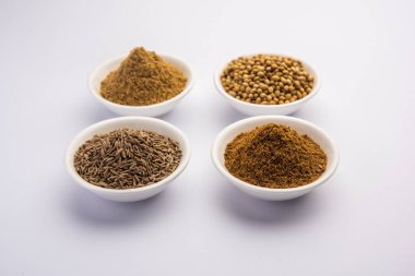 Hint baharat yığını kişniş tozu ya da Dhaniya tozu ya da Çin maydanozu kurutulmuş tohumları, seçici odak noktası