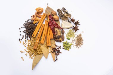 Hint garam masala tozu ve renkli baharatlar. seçici odak