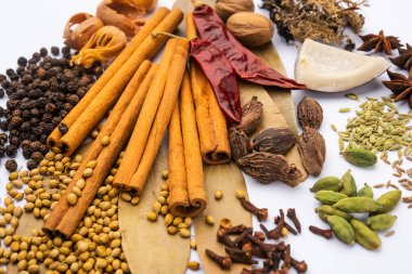Hint garam masala tozu ve renkli baharatlar. seçici odak