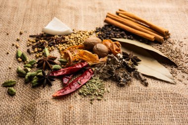 Hint garam masala tozu ve renkli baharatlar. seçici odak