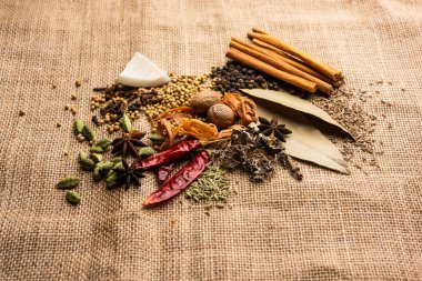 Hint garam masala tozu ve renkli baharatlar. seçici odak