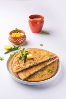 Paneer paratha tam buğday unundan yapılmış ve lezzetli, baharatlı, rendelenmiş paneer ile doldurulmuş popüler bir Kuzey Hint ekmeğidir.