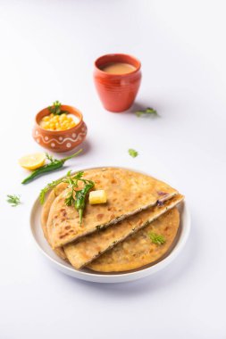 Paneer paratha tam buğday unundan yapılmış ve lezzetli, baharatlı, rendelenmiş paneer ile doldurulmuş popüler bir Kuzey Hint ekmeğidir.