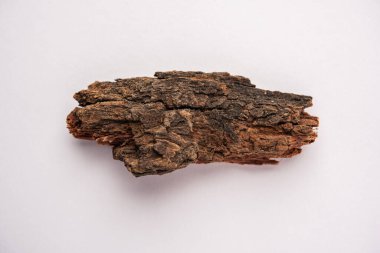Babul Chaal (Acacia Bark) ayrıca Vachellia, Nilotica kabuğu, Kikar Ki Chaal, Sakız Arapça Ağacı Kabuğu olarak da bilinir.
