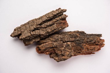 Babul Chaal (Acacia Bark) ayrıca Vachellia, Nilotica kabuğu, Kikar Ki Chaal, Sakız Arapça Ağacı Kabuğu olarak da bilinir.
