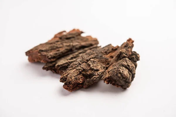 Babul Chaal Acacia Bark Also Known Vachellia Nilotica Bark Kikar — Fotografia de Stock