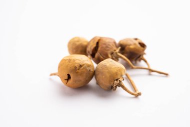 Ayurvedic Choti Kateli also known as Kantkari or Solanum Surattense dried and powder form