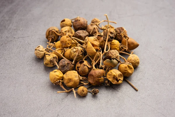 Ayurvedic Choti Kateli also known as Kantkari or Solanum Surattense dried and powder form
