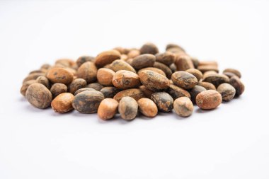 Jamalgota or Jayapala - Croton tiglium seed is an Ayurvedic medicine also known as purging croton