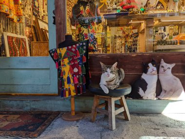 İSTANBUL, TURKEY - 9 AĞUSTOS 2021: Grand Bazaar 'da bir elbise ve mücevher mağazasının girişinde eski bir sandalyede duran sokak kedisi
