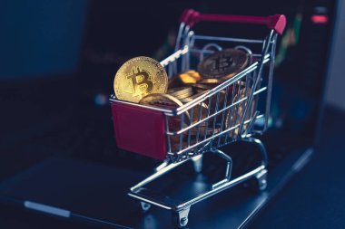Yan görünüş kripto para birimi konsepti bitcoin altın kripto sikkelerle dolu market alışveriş arabası grafikleri olan bir bilgisayar ekranının yanında duruyor.