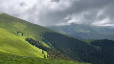 Dağların güneşli yamaçlarında yeşil çimenler ve üzerinde fırtına bulutları olan ağaçlar var.