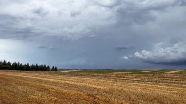 Fırtınalı bulutlu gökyüzü tarlalı tarlalar üzerinde sade ve küçük köknar ağacı ormanı